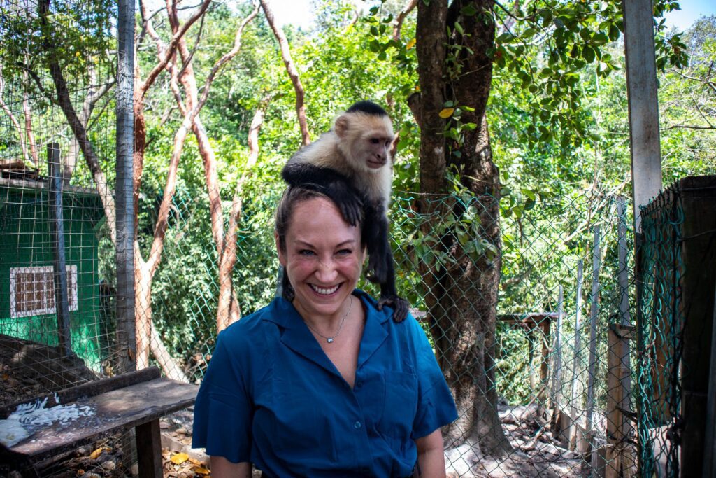 A woman laughs as a white-faced capuchin monkey sits on her head inside an animal enclosure surrounded by tropical trees.